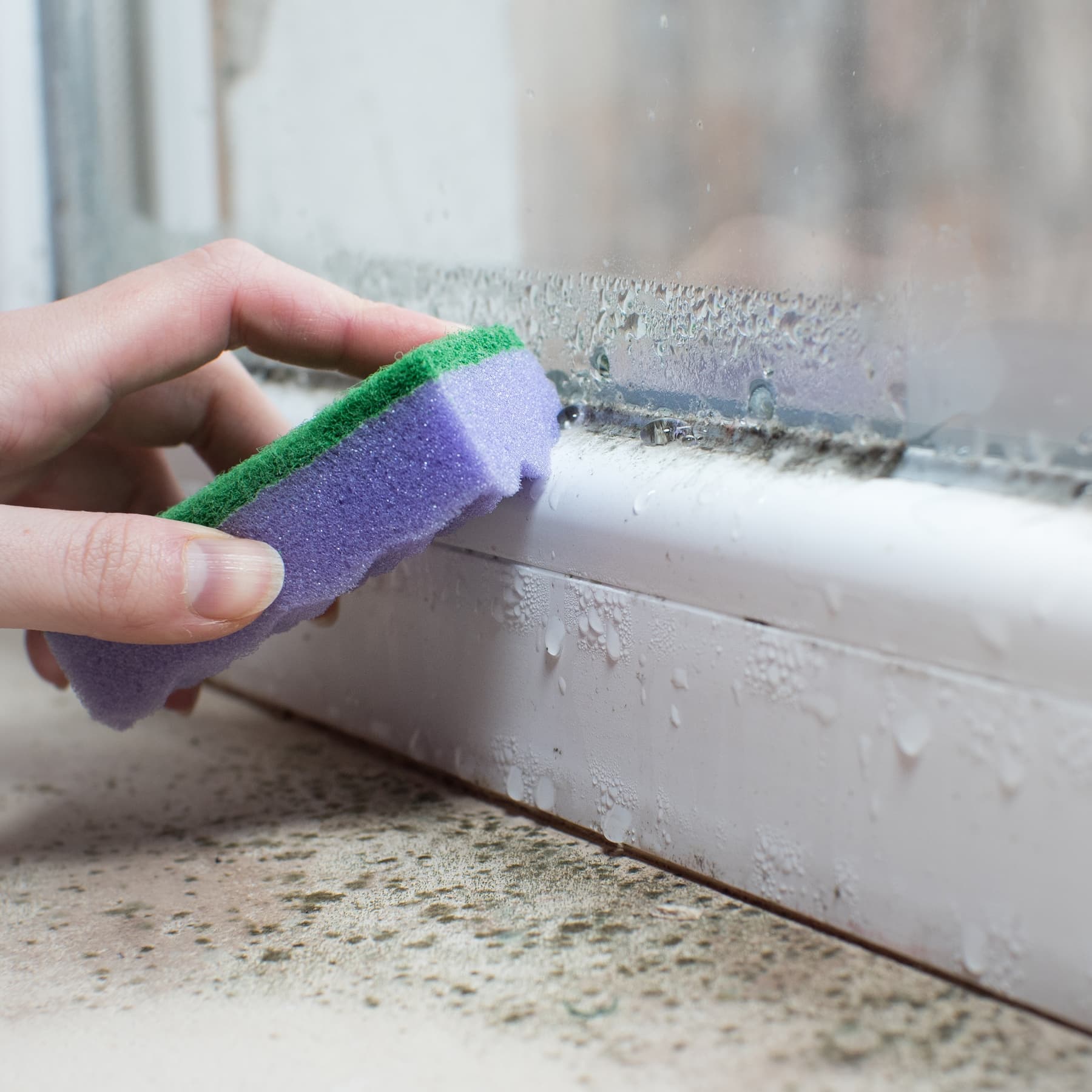 Metropolitan Insulation: Condensation